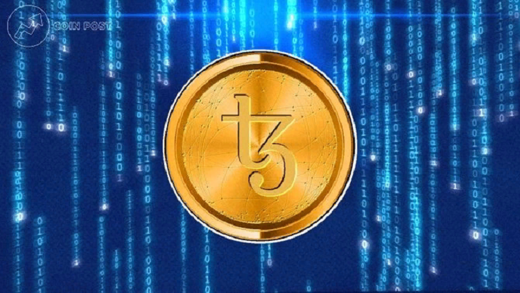 История создания Tezos coin и его команды разработчиков